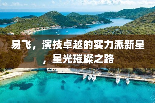 易飞，演技卓越的实力派新星，星光璀璨之路