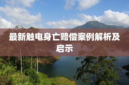 最新触电身亡赔偿案例解析及启示