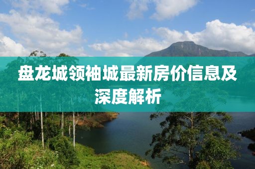盘龙城领袖城最新房价信息及深度解析