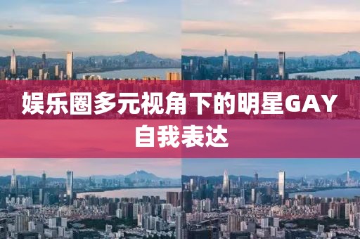 娱乐圈多元视角下的明星GAY自我表达