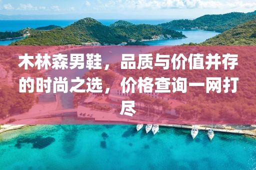 木林森男鞋，品质与价值并存的时尚之选，价格查询一网打尽