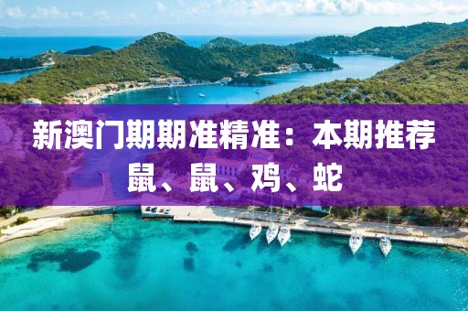 新澳门期期准精准：本期推荐鼠、鼠、鸡、蛇