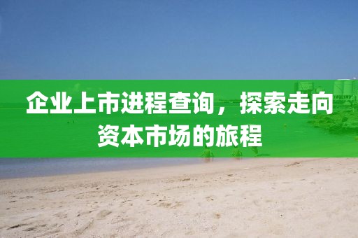 企业上市进程查询，探索走向资本市场的旅程