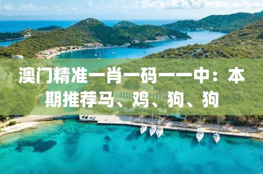 澳门精准一肖一码一一中：本期推荐马、鸡、狗、狗