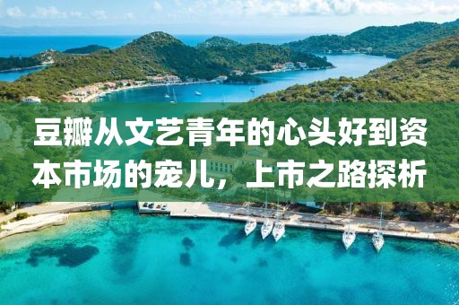 豆瓣从文艺青年的心头好到资本市场的宠儿，上市之路探析
