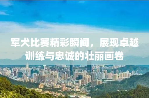 军犬比赛精彩瞬间，展现卓越训练与忠诚的壮丽画卷