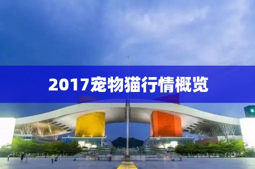 2017宠物猫行情概览