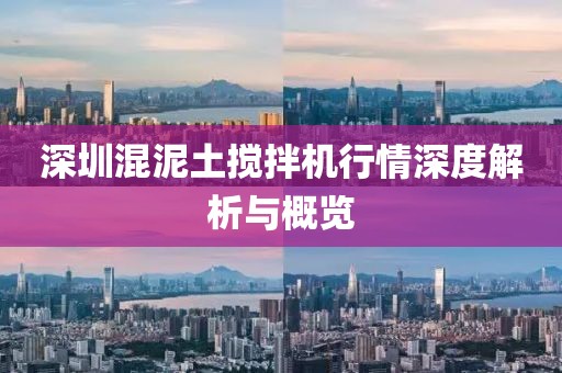 深圳混泥土搅拌机行情深度解析与概览