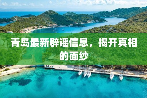 青岛最新辟谣信息，揭开真相的面纱