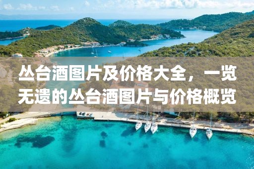 丛台酒图片及价格大全，一览无遗的丛台酒图片与价格概览