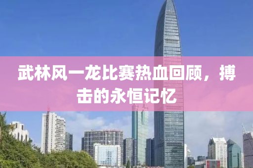 武林风一龙比赛热血回顾，搏击的永恒记忆