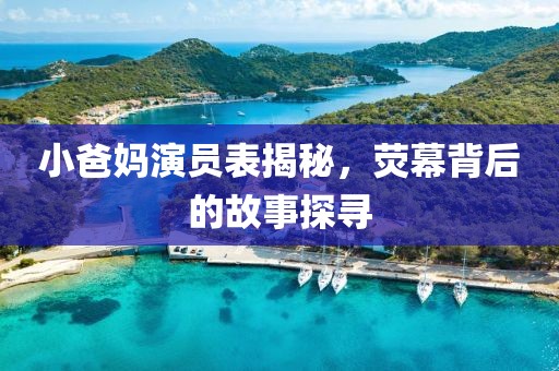 小爸妈演员表揭秘，荧幕背后的故事探寻