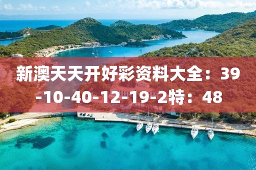新澳天天开好彩资料大全：39-10-40-12-19-2特：48
