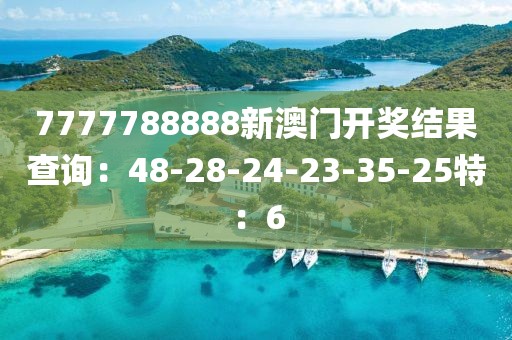 7777788888新澳门开奖结果查询：48-28-24-23-35-25特：6
