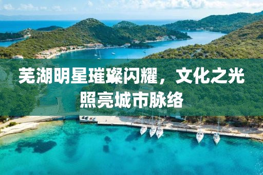 芜湖明星璀璨闪耀，文化之光照亮城市脉络