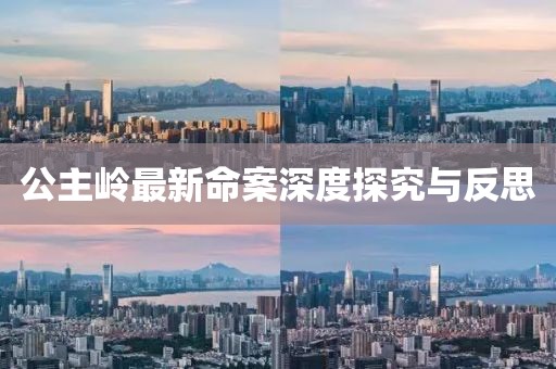 公主岭最新命案深度探究与反思