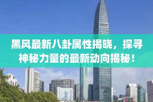 黑风最新八卦属性揭晓，探寻神秘力量的最新动向揭秘！