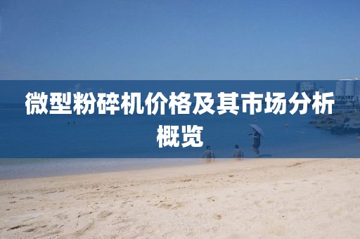 微型粉碎机价格及其市场分析概览