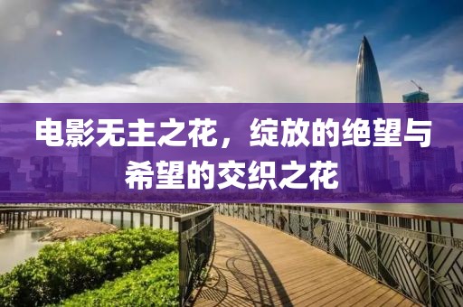 电影无主之花，绽放的绝望与希望的交织之花