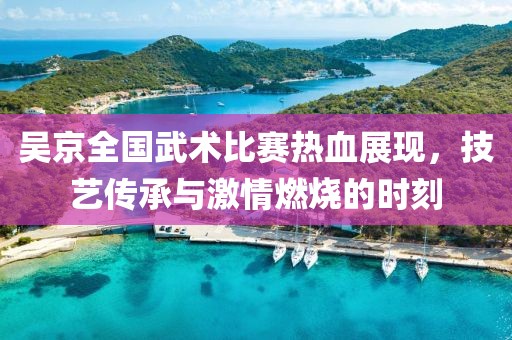 吴京全国武术比赛热血展现，技艺传承与激情燃烧的时刻