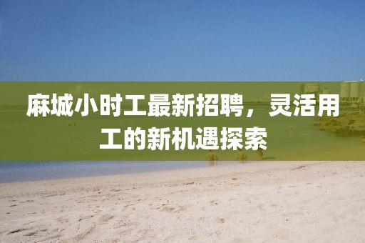 麻城小时工最新招聘，灵活用工的新机遇探索
