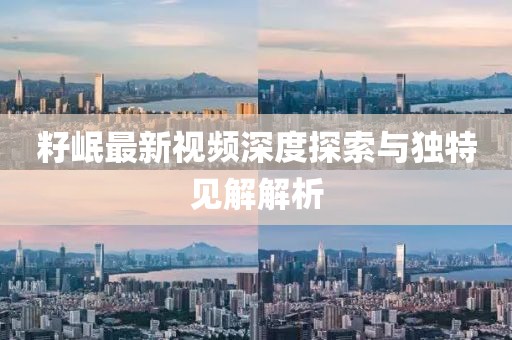 籽岷最新视频深度探索与独特见解解析