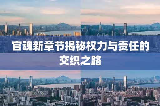 官魂新章节揭秘权力与责任的交织之路
