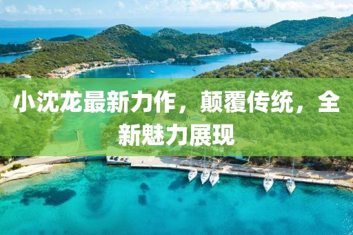 小沈龙最新力作，颠覆传统，全新魅力展现