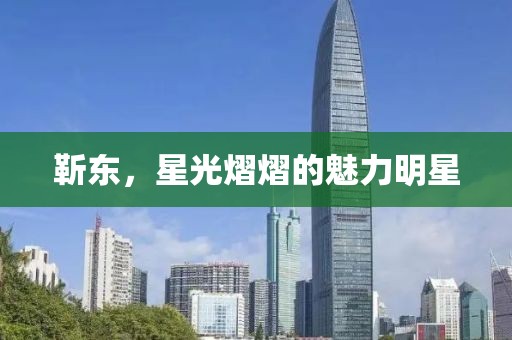 靳东，星光熠熠的魅力明星