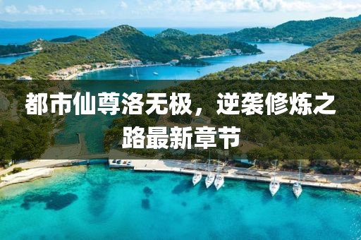 都市仙尊洛无极，逆袭修炼之路最新章节