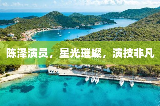 陈泽演员，星光璀璨，演技非凡