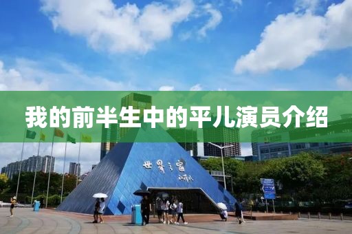 我的前半生中的平儿演员介绍