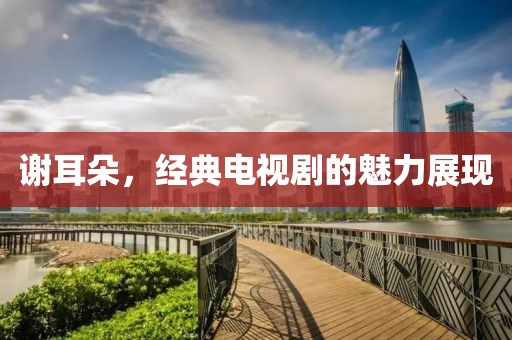 谢耳朵，经典电视剧的魅力展现