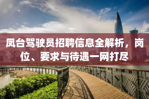 凤台驾驶员招聘信息全解析，岗位、要求与待遇一网打尽
