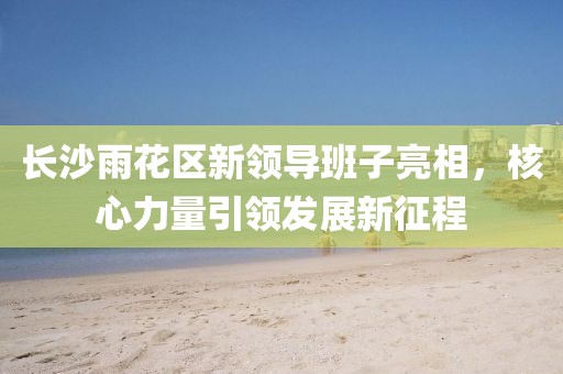 长沙雨花区新领导班子亮相，核心力量引领发展新征程