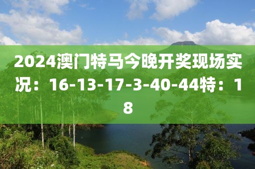 2024澳门特马今晚开奖现场实况：16-13-17-3-40-44特：18