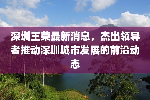 深圳王荣最新消息,杰出领导者推动深圳城市发展的前沿动态