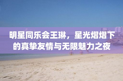 明星同乐会王琳,星光熠熠下的真挚友情与无限魅力之夜