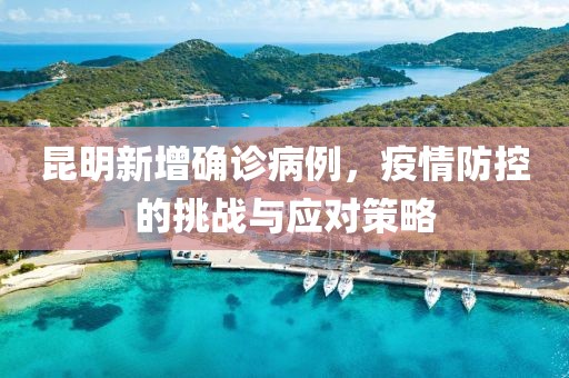 昆明新增确诊病例,疫情防控的挑战与应对策略