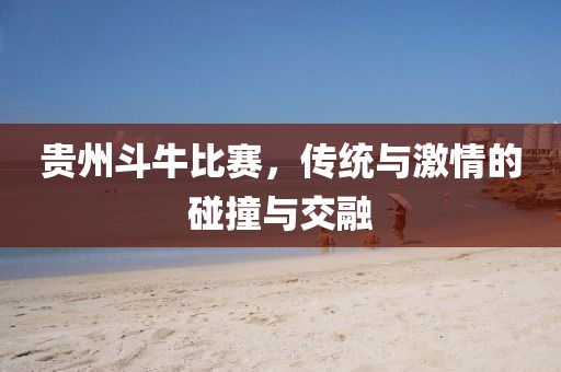 贵州斗牛比赛,传统与激情的碰撞与交融