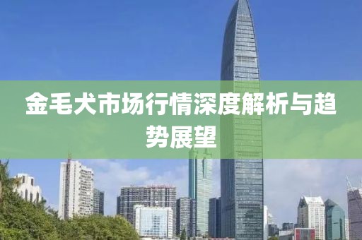 金毛犬市场行情深度解析与趋势展望