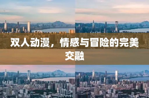 双人动漫，情感与冒险的完美交融