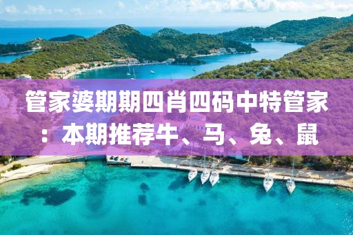 管家婆期期四肖四码中特管家：本期推荐牛、马、兔、鼠