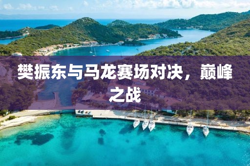 樊振东与马龙赛场对决,巅峰之战
