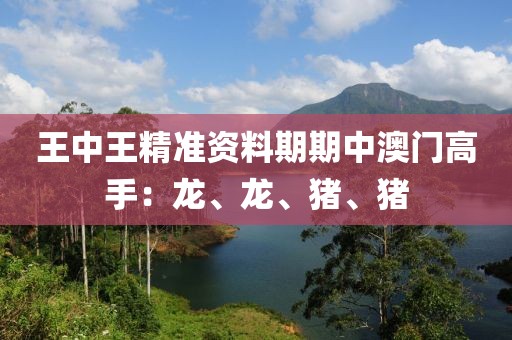王中王精准资料期期中澳门高手：龙、龙、猪、猪