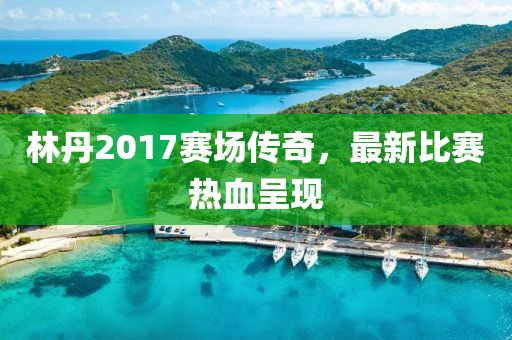 林丹2017赛场传奇,最新比赛热血呈现