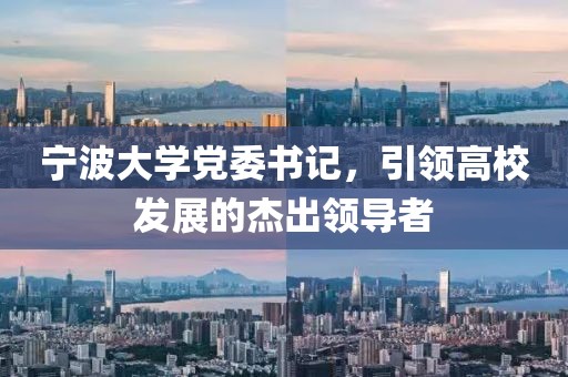 宁波大学党委书记，引领高校发展的杰出领导者