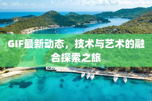 GIF最新动态，技术与艺术的融合探索之旅