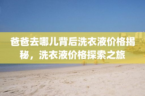 爸爸去哪儿背后洗衣液价格揭秘，洗衣液价格探索之旅