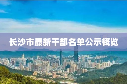 长沙市最新干部名单公示概览